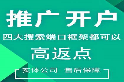 信息流广告推广成功案例深度剖析
